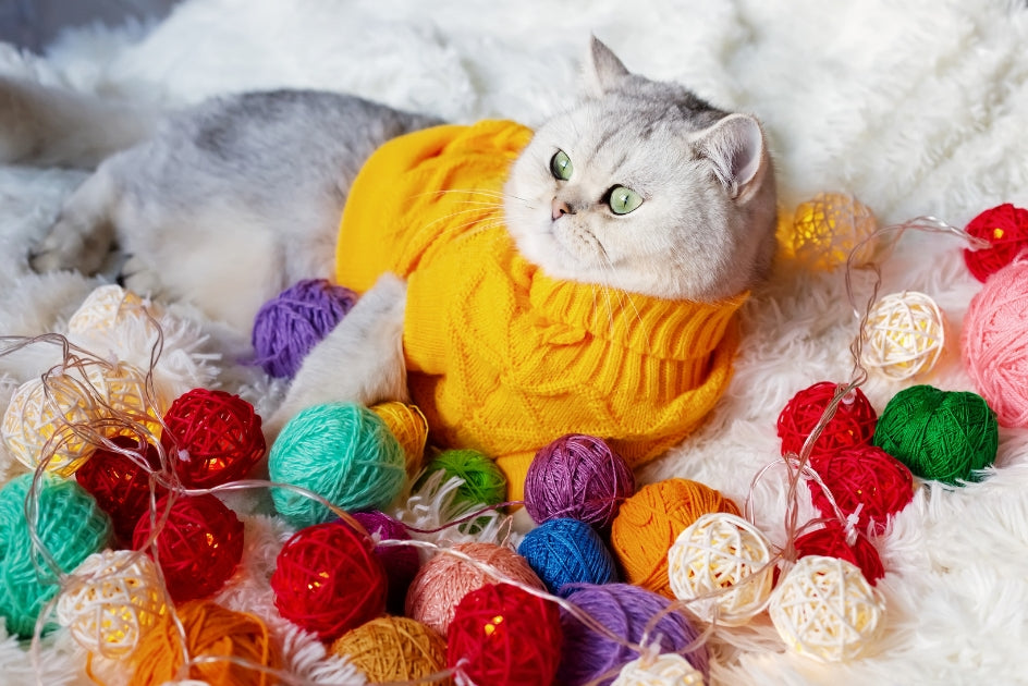 Handmade Business Ideas for Pet Parents