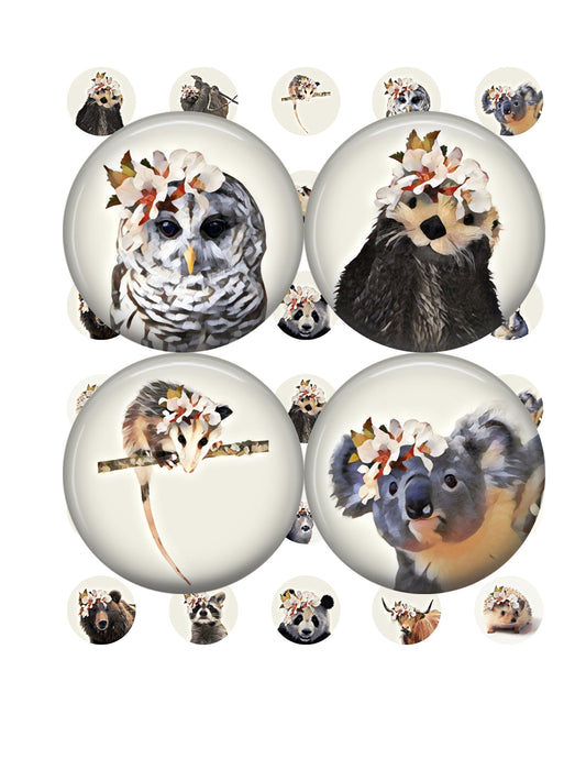 Set of animal-themed bottlecap images with various animals, including an owl, an otter, an opossum, and a koala, on a white background